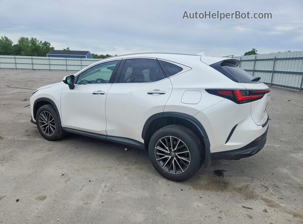 JTJGGCEZ2P5005584 2023 LEXUS NX White Rear left