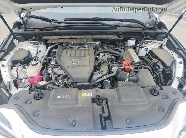 JTJGGCEZ2P5005584 2023 LEXUS NX White Engine compartment view