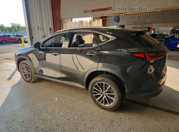 JTJGGCEZ6N5002569 2022 LEXUS NX Black Tył lewy