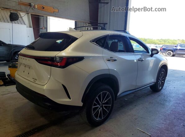 JTJGGCEZ6R2011148 2024 LEXUS NX White Հետևի աջ