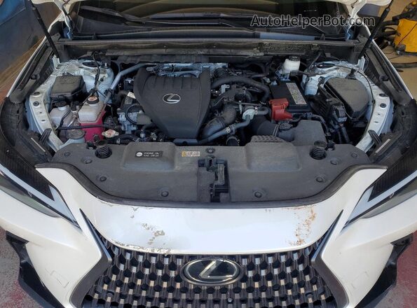 JTJGGCEZ6R2011148 2024 LEXUS NX White Շարժիչի բաժամունքի տեսք