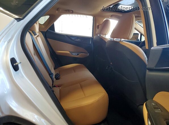 JTJGGCEZ6R2011148 2024 LEXUS NX White Սալոնի հետևի տեսք