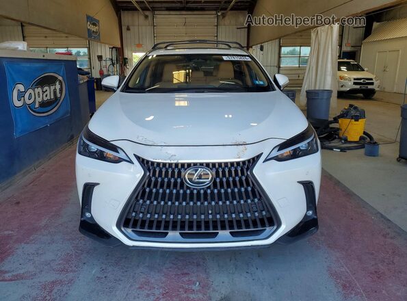 JTJGGCEZ6R2011148 2024 LEXUS NX White Դիմացի տեսք