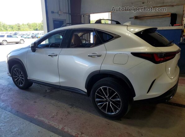 JTJGGCEZ6R2011148 2024 LEXUS NX White Հետևի ձախ