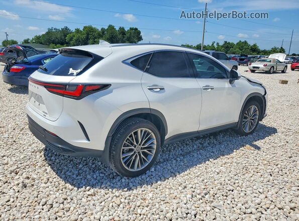 JTJGGCEZ9S5011634 2025 LEXUS NX White Trasero derecho