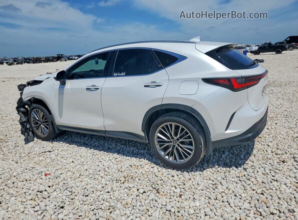 JTJGGCEZ9S5011634 2025 LEXUS NX White Trasero izquierdo