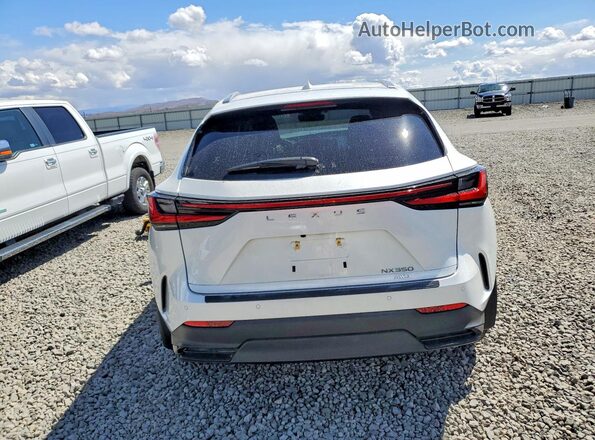 JTJGGCEZXS2024765 2025 LEXUS NX White Widok z tyłu