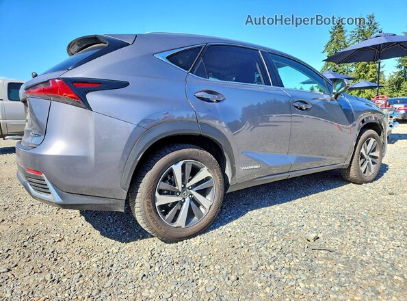 JTJGJRDZ2L2128450 2020 LEXUS NX Gray Trasero derecho