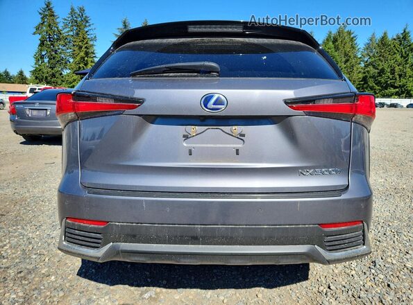 JTJGJRDZ2L2128450 2020 LEXUS NX Gray Vista trasera