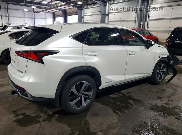 JTJGJRDZ4L5004145 2020 LEXUS NX White Trasero derecho