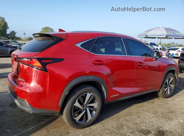 JTJGJRDZ5M2148936 2021 LEXUS NX Red უკანა მარჯვენა