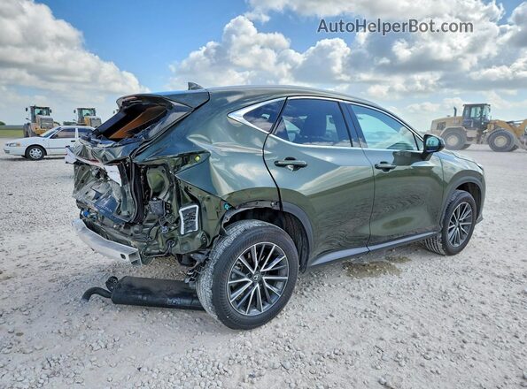 JTJGKCEZ1S2061864 2025 LEXUS NX Green Trasero derecho