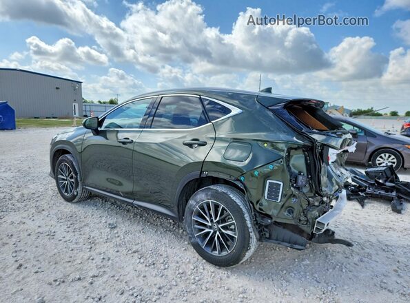 JTJGKCEZ1S2061864 2025 LEXUS NX Green Trasero izquierdo