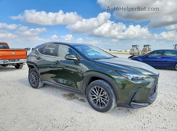 JTJGKCEZ1S2061864 2025 LEXUS NX Green Delantero derecho