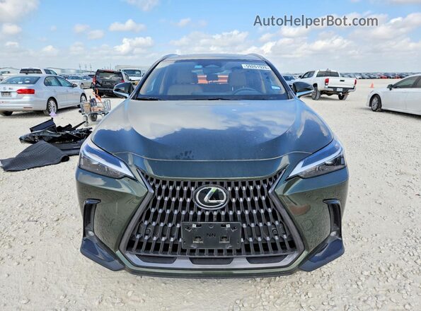 JTJGKCEZ1S2061864 2025 LEXUS NX Green Vista frontal