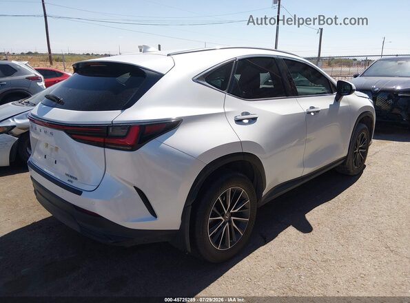 JTJGKCEZ2P5006541 2023 LEXUS NX 350H White Trasero derecho