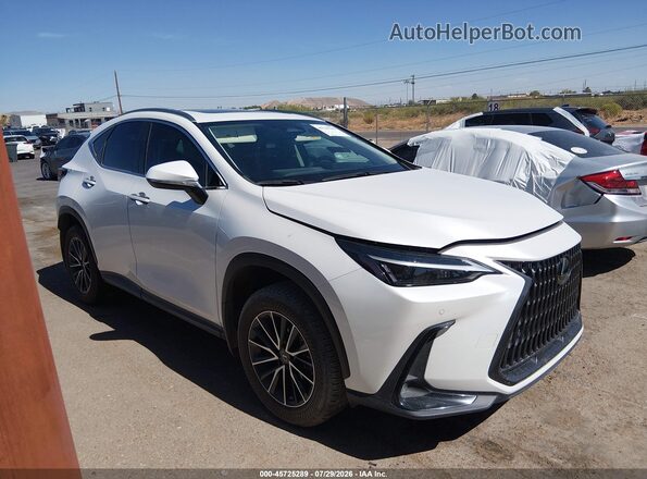 JTJGKCEZ2P5006541 2023 LEXUS NX 350H White Vista interior trasera