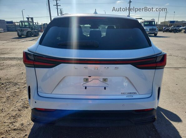 JTJGKCEZ3R5016529 2024 LEXUS NX White Вид ззаду