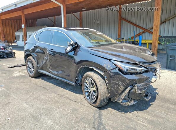 JTJGKCEZ4S2043665 2025 LEXUS NX Black Передня права чверть
