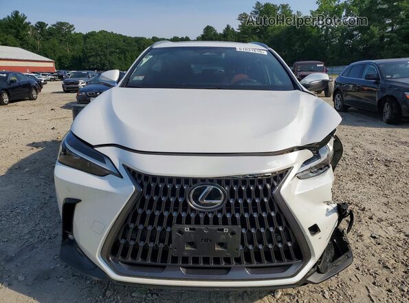 JTJGKCEZ5R5022185 2024 LEXUS NX Белый Вид спереди