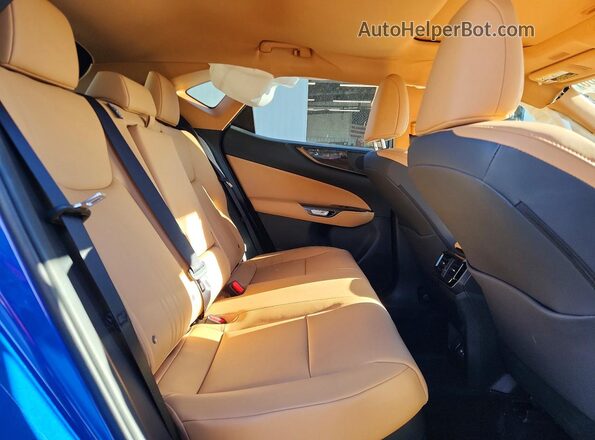 JTJGKCEZ5S2058739 2025 LEXUS NX Blue Vista de los asientos traseros