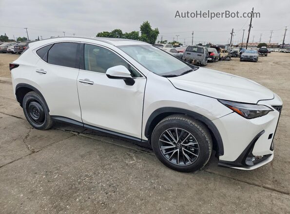 JTJGKCEZ7R2020648 2024 LEXUS NX White წინა მარჯვენა