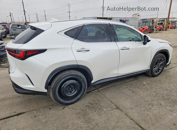 JTJGKCEZ7R2020648 2024 LEXUS NX White უკანა მარჯვენა