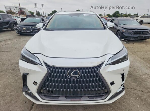 JTJGKCEZ7R2020648 2024 LEXUS NX White წინა ხედი