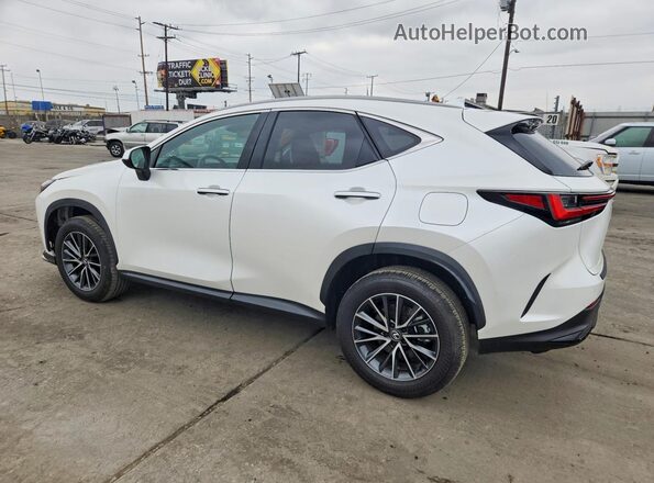 JTJGKCEZ7R2020648 2024 LEXUS NX White უკანა მარცხენა