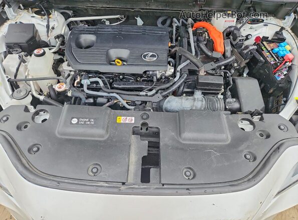 JTJGKCEZ7R2020648 2024 LEXUS NX White ძრავის განყოფილების ხედი