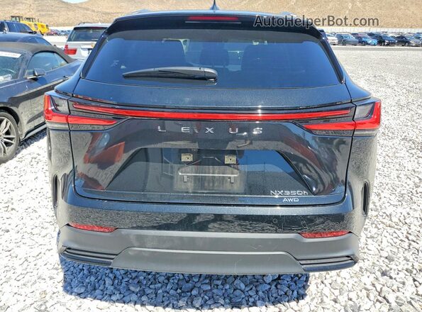 JTJGKCEZ8R5013397 2024 LEXUS NX Черный Вид сзади