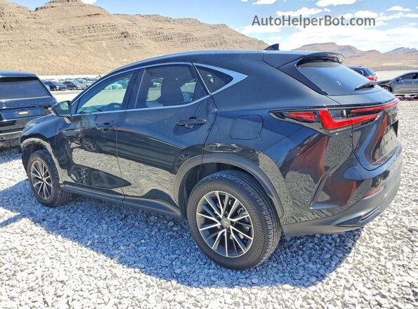 JTJGKCEZ8R5013397 2024 LEXUS NX Черный Задняя левая четверть