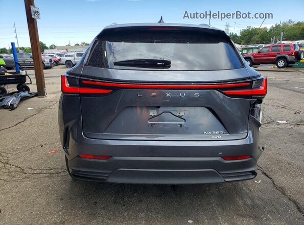 JTJGKCEZ9R5020097 2024 LEXUS NX Gray Rear view