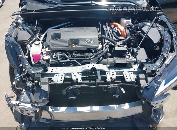 JTJGKCEZXS2064052 2025 LEXUS NX 350H Black Вид ззаду