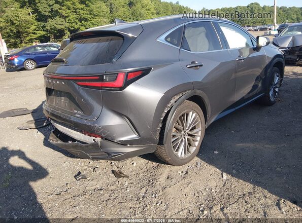 JTJHGCEZ8N2005897 2022 LEXUS NX 350 Gray Задня права чверть