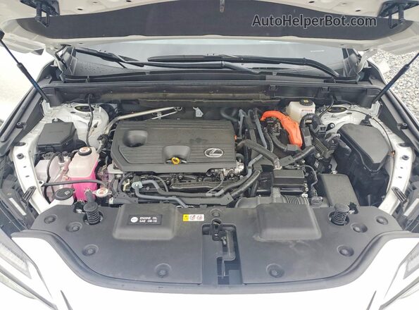 JTJHKCEZ0R2031334 2024 LEXUS NX White Вид задньої частини салону