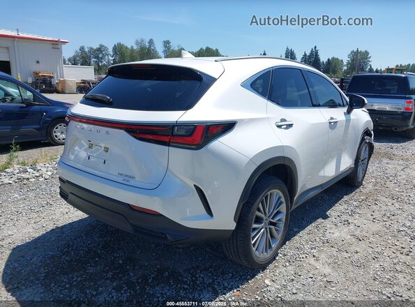 JTJHKCEZ7R5012066 2024 LEXUS NX 350H White Trasero derecho