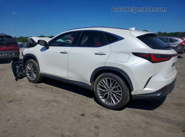 JTJHKCEZ8R2019027 2024 LEXUS NX White Հետևի ձախ