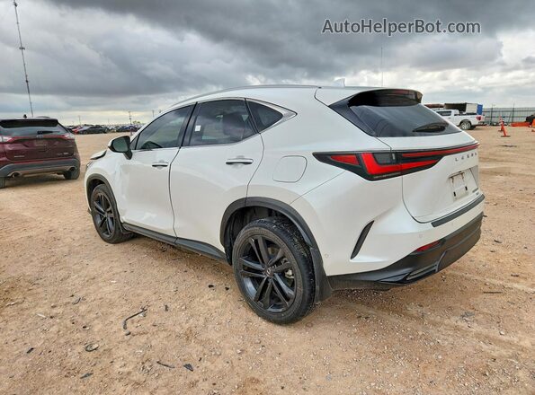 JTJHKCFZ2R2035478 2024 LEXUS NX White Trasero izquierdo