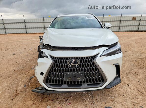 JTJHKCFZ2R2035478 2024 LEXUS NX White Vista frontal