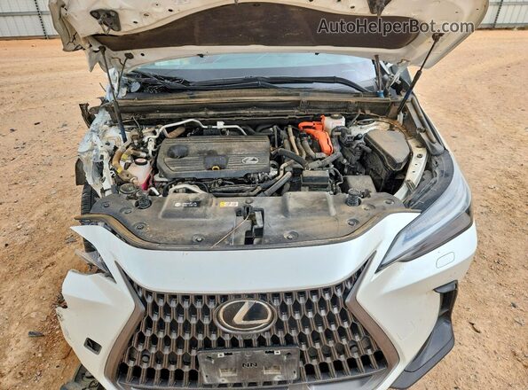 JTJHKCFZ2R2035478 2024 LEXUS NX White Vista interior trasera