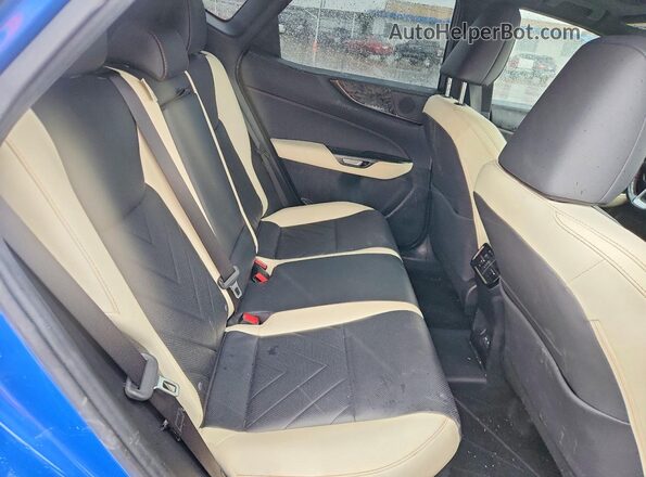 JTJHKCFZ4P2015214 2023 LEXUS NX Blue უკანა სალონის ხედი