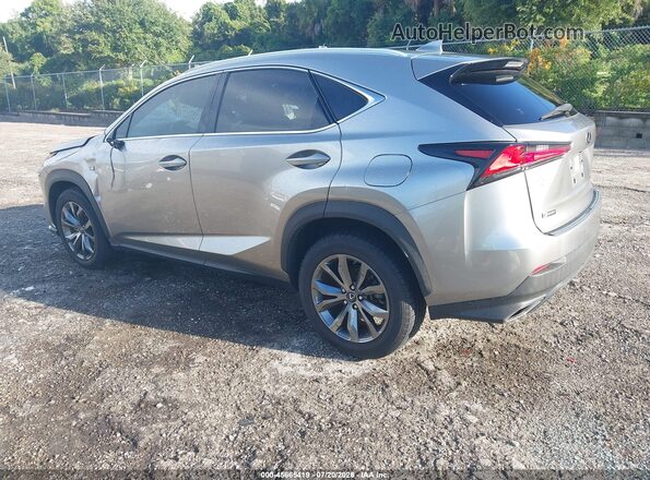 JTJJARBZ3L5012679 2020 LEXUS NX 300 Gray Tył lewy