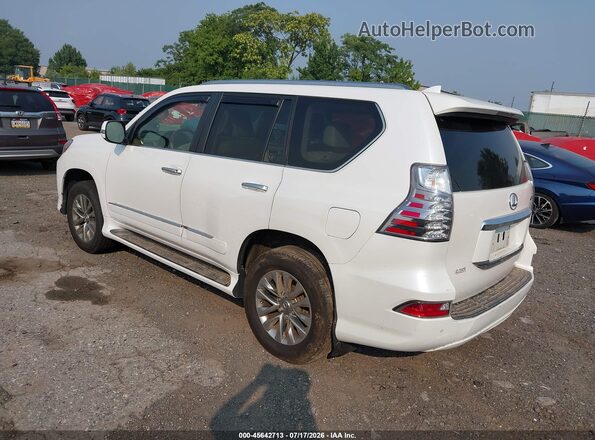 JTJJM7FX8H5166686 2017 LEXUS GX 460 White Rear left