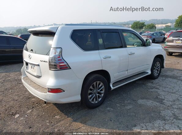 JTJJM7FX8H5166686 2017 LEXUS GX 460 White Rear right