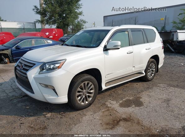 JTJJM7FX8H5166686 2017 LEXUS GX 460 White Front left