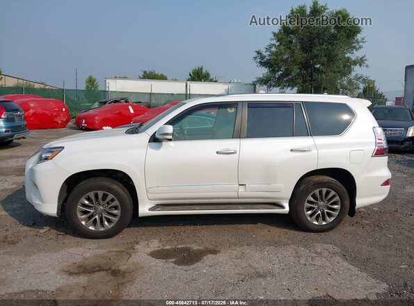 JTJJM7FX8H5166686 2017 LEXUS GX 460 White Rear interior view