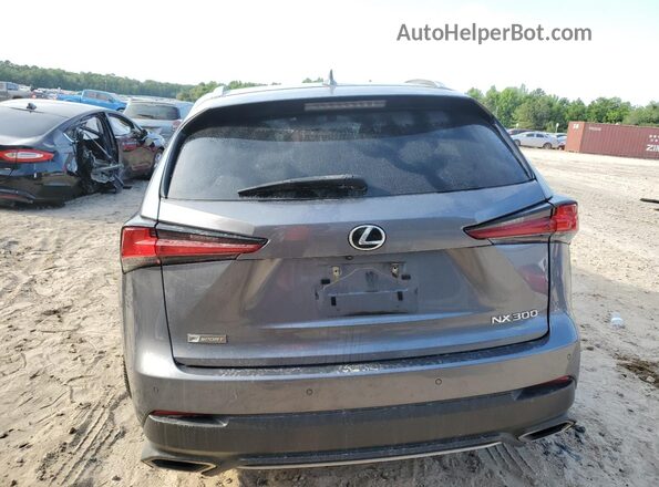 JTJSARBZ0M2180271 2021 LEXUS NX Угольный Вид сзади