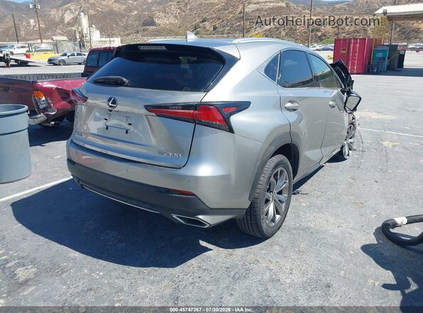 JTJSARBZ0M2195207 2021 LEXUS NX 300 Gray Հետևի աջ