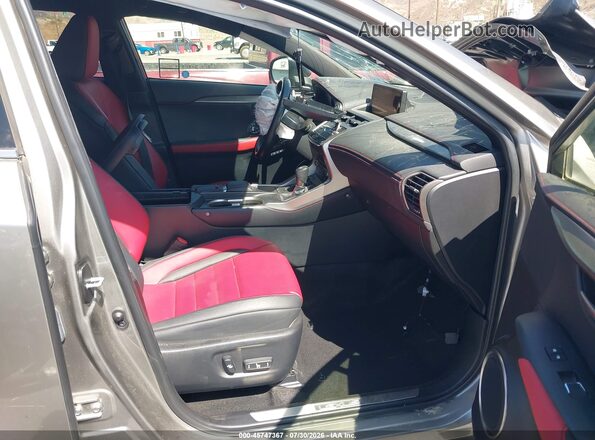 JTJSARBZ0M2195207 2021 LEXUS NX 300 Gray Սալոնի դիմացի տեսք